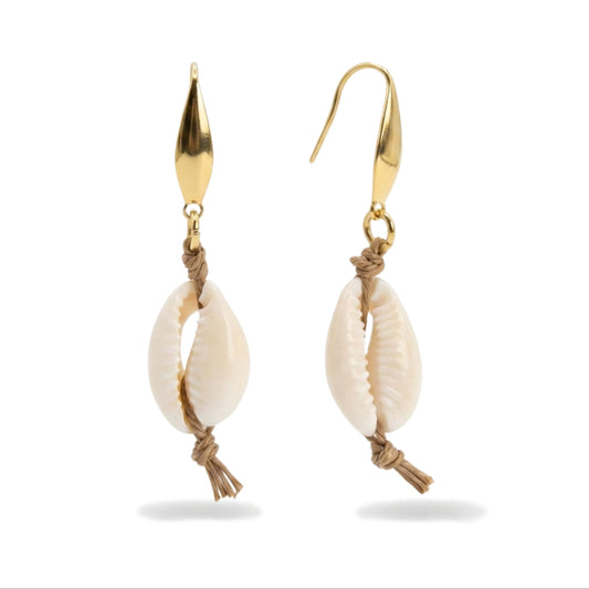 Stainless Steel Cowrie Shell Earrings