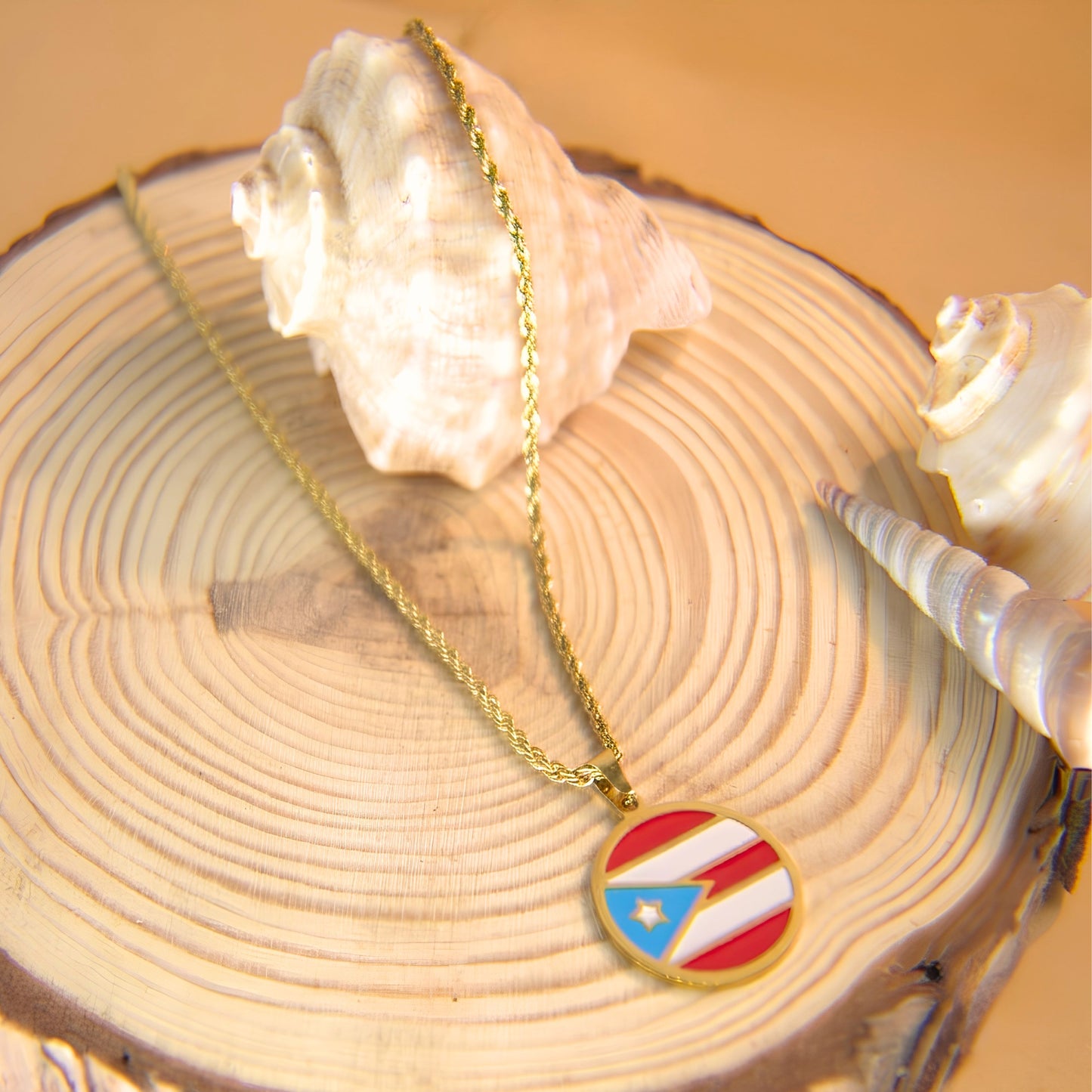 17.5in Rope Chain with Round Puerto Rico Flag Pendant